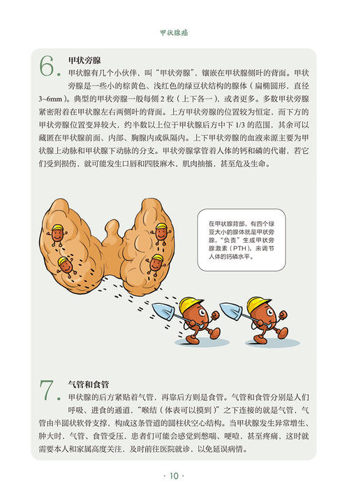 甲状腺癌 肿瘤科普百科丛书 张彬主编 甲状腺功能解剖超声检查诊断手术治疗 健康保健知识 科普读物 人民卫生出版社9787117335805 商品图3