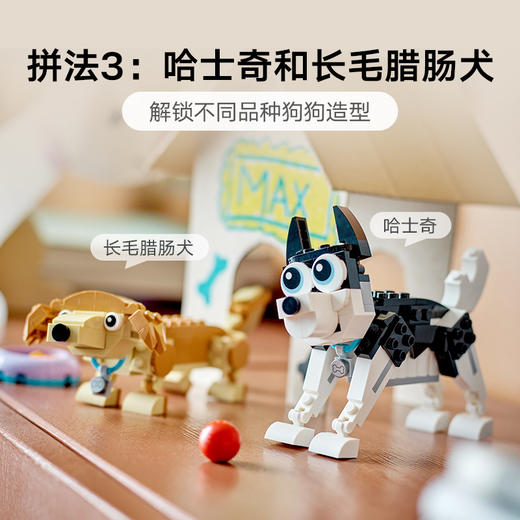 乐高积木31137乐高创意百变系列 萌萌小狗 商品图4