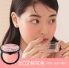 TOO Cool For School三色腮红盘系列-9.5g 商品缩略图2