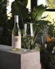 Nuala - Sauvignon Blanc/Riesling, New Zealand 纽埃拉长相思/雷司令白葡萄酒，新西兰 商品缩略图1
