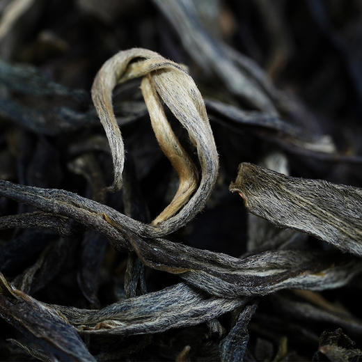 春茶预售【茶王树单株】茶农联合出品，一树一成品纯料至尊升级包装为500克更具收藏与送礼价值 商品图6