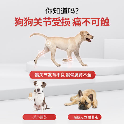 套餐【关节养护套餐】关节宝24片+鲨鱼软骨素+高钙片400片 商品图1