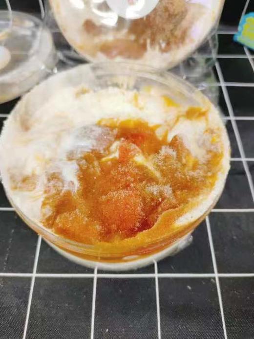 秋天的柿子蛋糕2盒（拼团） 商品图0