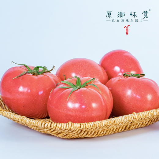 沃野有机番茄/西红柿（基地直发-顺丰包邮） | 3斤/4.5斤装，来自陕西咸阳，生产者：郑力行【合作生产，公平贸易】 商品图4