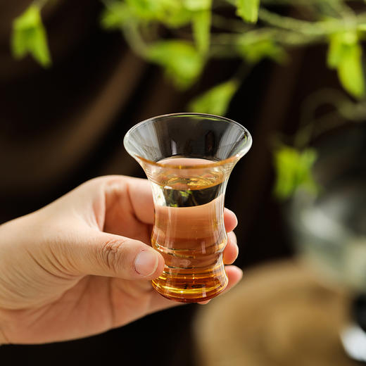 禾器晶彩·君悦套组进口高硼硅耐热玻璃茶杯高档茶具 商品图3