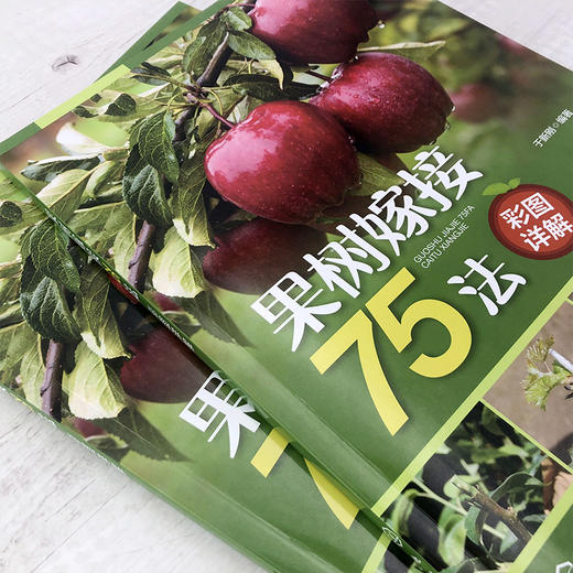 果树嫁接75法彩图详解 商品图2