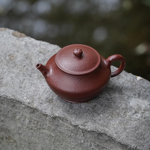 龙德堂陶艺《捶金·四大名园系列之拙政园》原矿紫朱泥 150cc 库存请咨询客服 商品图3