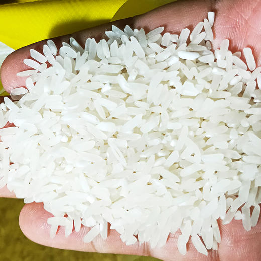 【鱼田稻】好山好水出好稻5kg 商品图2