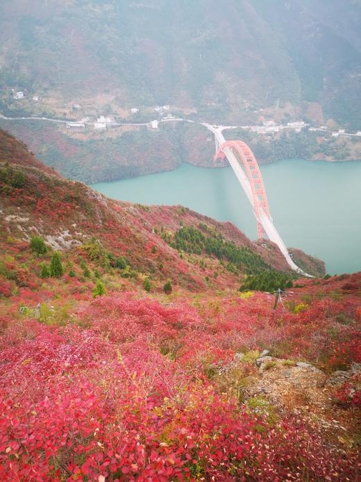 湖北三峡红叶摄影——宜昌、巫山、巫峡、瞿塘峡7天 商品图5