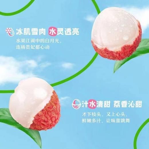 伊利优酸乳贵妃荔枝味 250ml*24盒/箱 商品图3