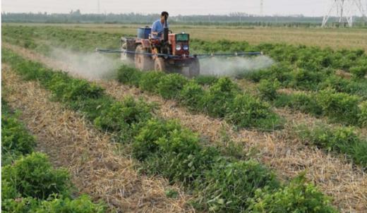 【特惠】玫瑰精华露 ||  滋润肌肤 、安心补水   玫瑰花通过200项农残检测 商品图6