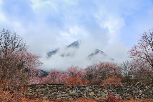 （越野车）春色藏美旅行：西藏江南-林芝、波密桃花雪山、墨脱+藏北江南-尼屋乡桃花12天 商品图3