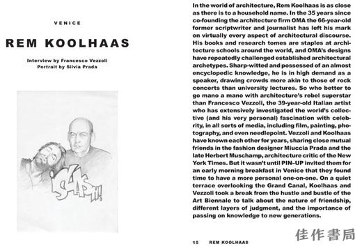 Pin-Up: Interviews / Pin-Up：采访 商品图1