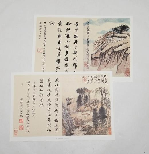 中国好丹青：愿大级高清完整册页 《石涛》，小8开，单页，共40页，四川美术出版社2015年版，定价68，售价28，品9成 商品图6