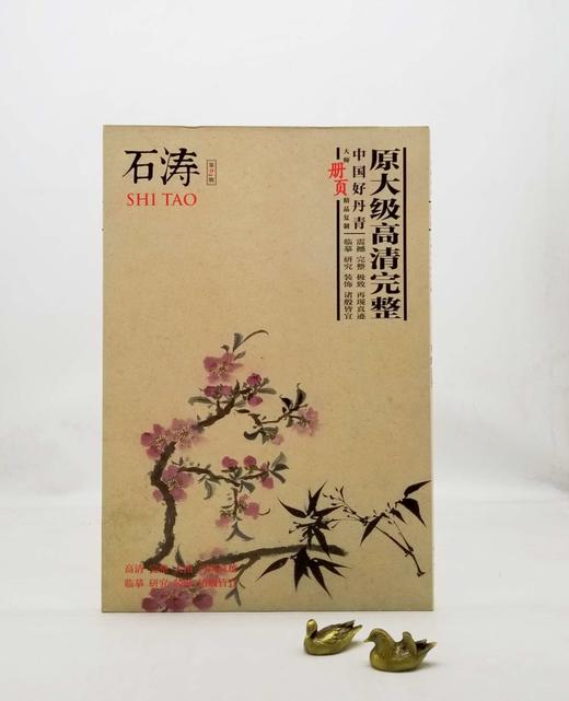中国好丹青：愿大级高清完整册页 《石涛》，小8开，单页，共40页，四川美术出版社2015年版，定价68，售价28，品9成 商品图0