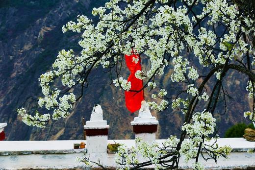 川西春色：牛背山、金川梨花、甲居藏寨、中路藏寨、荣经砂器、嘉阳油菜花、毕棚沟7-9天 商品图3