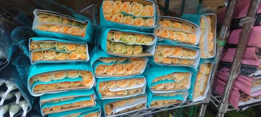 隆鑫香槟 商品图1