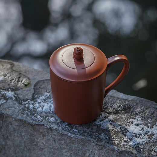 龙德堂陶艺 汤宣武制 《紫砂盖杯·安康》原矿底槽清 380cc 库存请咨询客服 商品图2