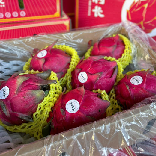 【大蜜宝】胖村长 大蜜宝红心火龙果，花青素抗氧化功能强劲，常食有益健康！ 商品图6