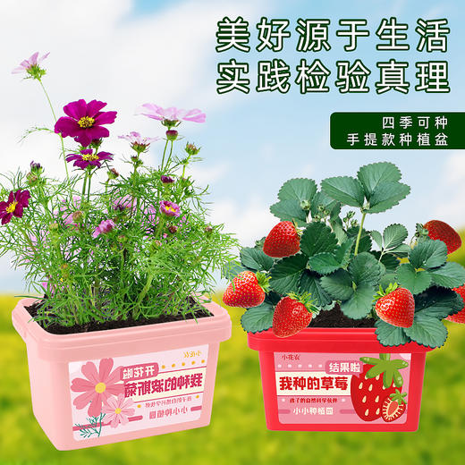 小花农我种的植物系列种植套装9610 商品图1