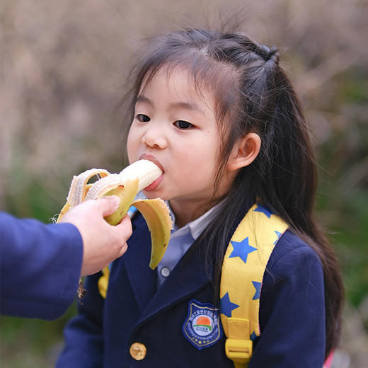 【树上自然熟“天宝香蕉”】国家地理标识产品 2000多年种植历史 463项检测无农残 商品图4