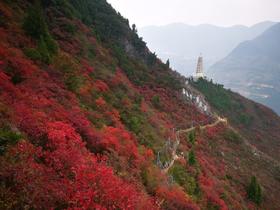 湖北三峡红叶摄影——宜昌、巫山、巫峡、瞿塘峡7天