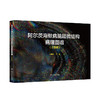 阿尔茨海默病脑超微结构病理图谱（小鼠版） 2023年3月参考书 9787117341981 商品缩略图0