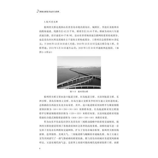 跨海大桥安全运营与管理/刘小玲/郑彭军/浙江大学出版社 商品图4