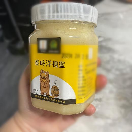 热销【自营】都市惠定制 秦岭野生洋槐蜜 助农成熟放心槐花蜜 商品图1