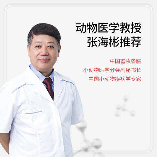 【双12专属活动】谷登关节宝1.6g*8粒*3版  （犬猫通用) 商品图4