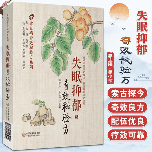 失眠抑郁奇效秘验方 常见病奇效秘验方系列 韩洁茹 王洪涛 主编 中国医药科技出版社 9787521425949 商品图0