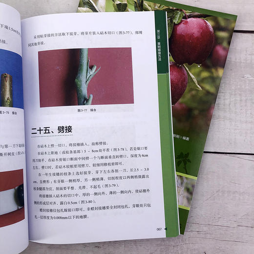 果树嫁接75法彩图详解 商品图6