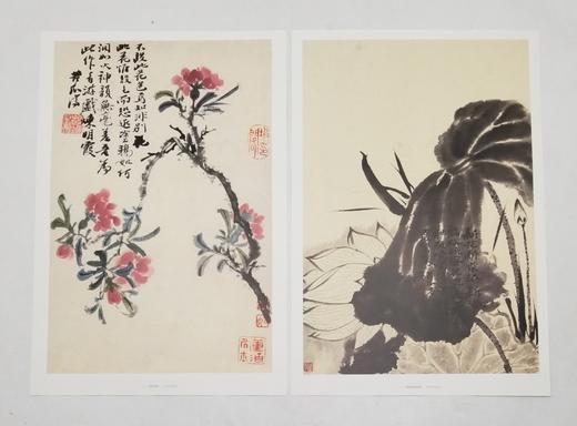 中国好丹青：愿大级高清完整册页 《石涛》，小8开，单页，共40页，四川美术出版社2015年版，定价68，售价28，品9成 商品图7