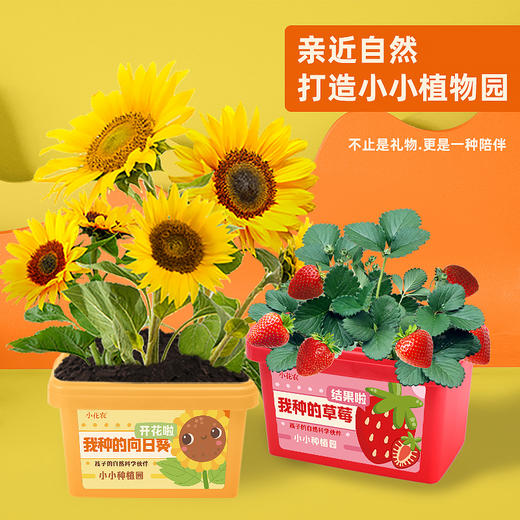 小花农我种的植物系列种植套装9610 商品图2