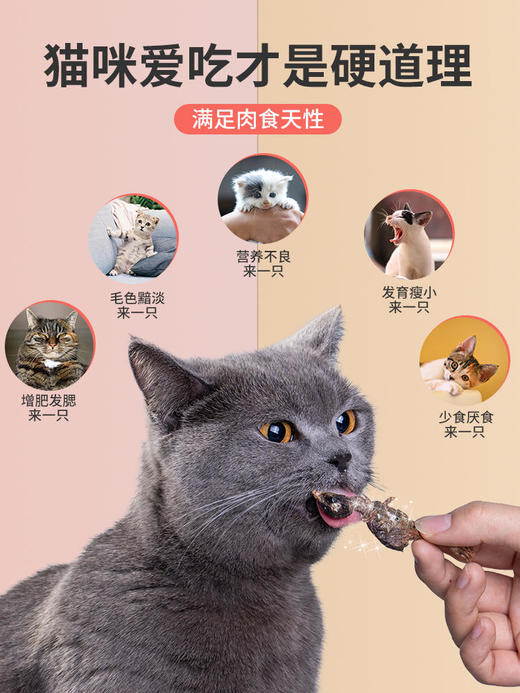 美人喵 冻干鹌鹑   猫犬通用零食 新鲜食材无添加 商品图3