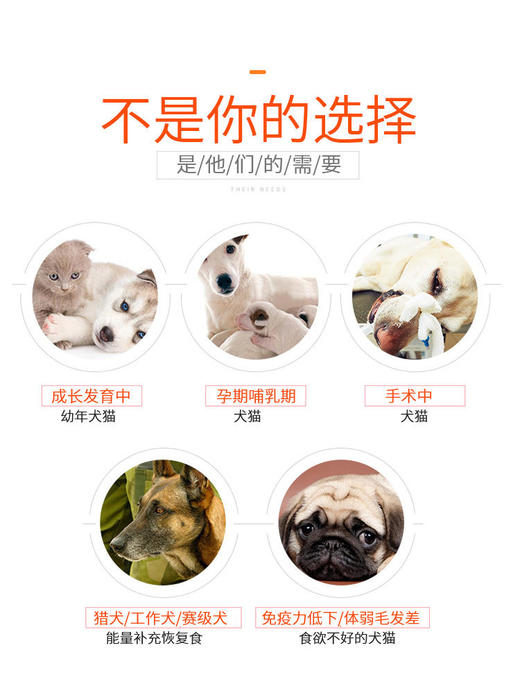 红狗 营养膏/化毛膏 120g/支 科学营养配比易消化易吸收 商品图2