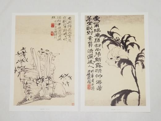 中国好丹青：愿大级高清完整册页 《石涛》，小8开，单页，共40页，四川美术出版社2015年版，定价68，售价28，品9成 商品图3