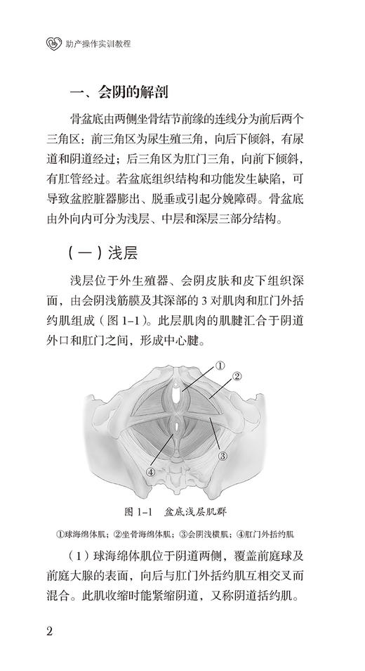 助产操作实训教程 视频版 陈升平主编 产科基础知识临床实操 适用于产科医师助产士产科护士阅读 中国医药科技出版社9787521434835 商品图3