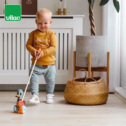 Vilac 学步推杆-绿头鸭 法国玩具 商品图1