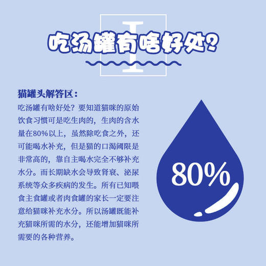 味途/美人喵 金枪鱼白肉 猫罐头汤罐 85g/罐 商品图2