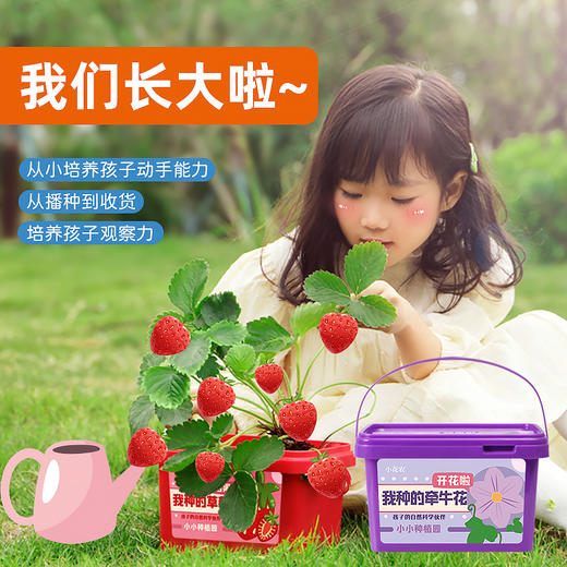 小花农我种的植物系列种植套装9610 商品图4