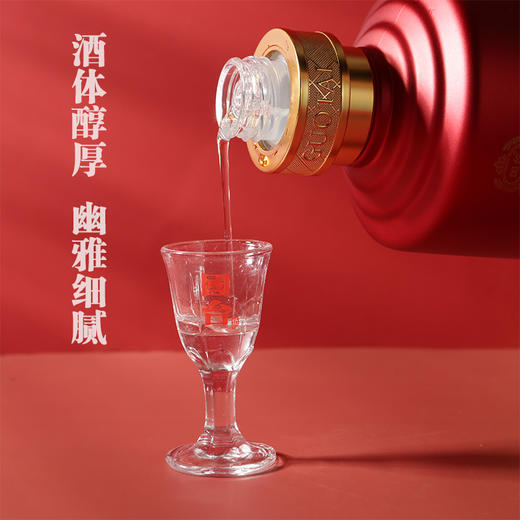 国台 国标 53度500ml 商品图2