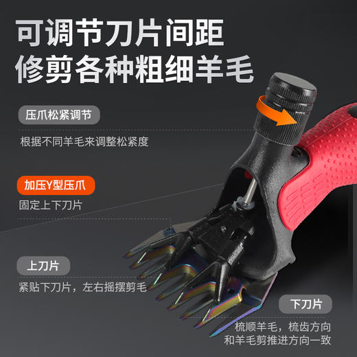 华畜兽用电动羊毛剪电推子给羊剃毛电剪子专用大功率剪毛机 商品图4