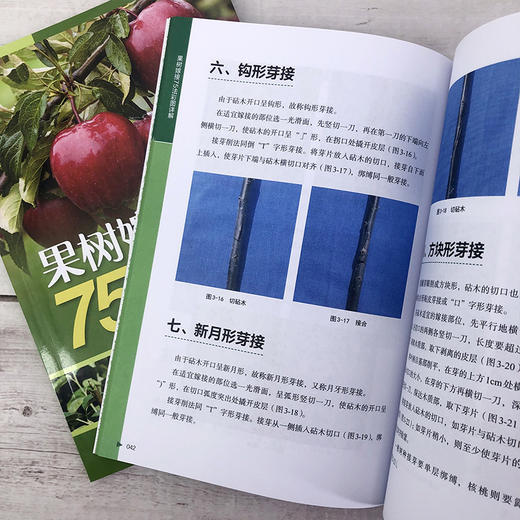 果树嫁接75法彩图详解 商品图7