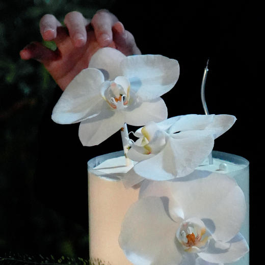 【傲然绽放】2磅 海盐奥利奥奶油法式薄脆脆脆夹心 商品图4