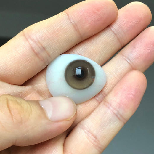 半年抛 Allecon 暴打柠檬  14.5 高光琥珀棕 商品图2