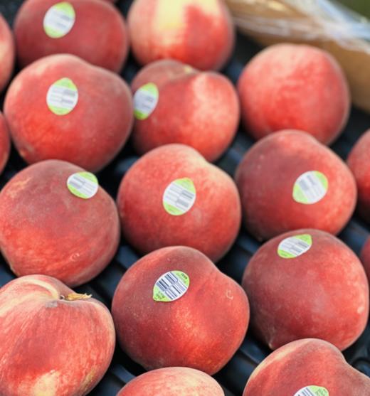 澳洲黄肉水蜜桃  |  🌹今天到的澳洲水蜜桃大果子，软硬皆宜，硬果脆甜有韧劲，软了之后吃起来口感绝佳，蜜糯柔，水分足，细腻到入口即化，悠悠回味～🍑😋😋♥️ 商品图12