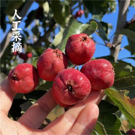 谦益 山楂棒 100g*2包 商品图2