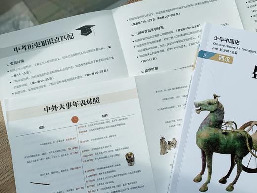 《少年中国史》套装14册| 15位历史教授编审，内容严谨+有趣好读，给孩子一次人文和历史的启蒙 商品图8