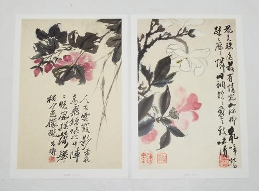 中国好丹青：愿大级高清完整册页 《石涛》，小8开，单页，共40页，四川美术出版社2015年版，定价68，售价28，品9成 商品图5